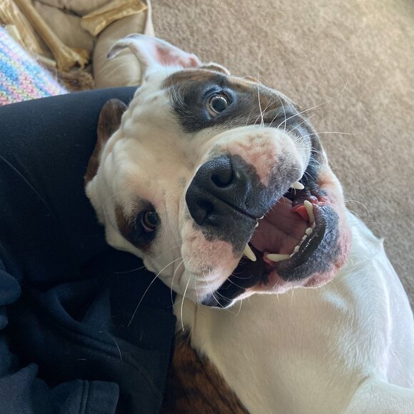 Meet your Posher, Kat - Picture 11 of 14